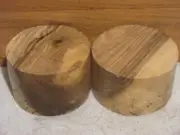 2PC SPALTED MISSOURI HACKBERRY TURNING WOOD BOWL BLANK