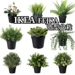 IKEA 🇸🇪 人造盆栽 造型 人造植物 擺飾 多肉植物 室內景觀 拍攝道具 居家 假花 牛至 山蘇