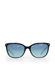 Black Wayfarer Gradient Sunglasses