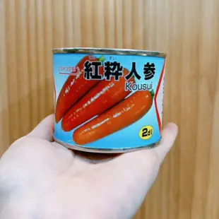 原包裝 200毫升 日本F1紅蘿蔔種子 紅蘿蔔種子 日本紅蘿蔔種子 胡蘿蔔種子 日本胡蘿蔔種子 紅菜頭種子 日本紅蘿蔔子