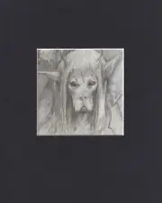 8X10 Matted Print Art Picture Faeries Fairy, Brian Froud: Dog