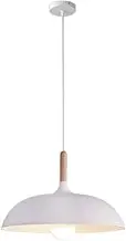1 Pack Macaron Color Industrial Pendant Light - E26 Base Retro Metal Hanging Chandelier for Home, Kitchen, Farmhouse, Over Island, Modern Lighting Decor.