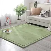 Coral Velvet Rug for Bedroom Dormitory Yoga,Home Decor for Living Room,Educational Classroom Nursery Bedroom Crawling Mat Non-Slip Rug 2cm-H- 100 * 240cm
