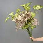 Palm Plant Simulation Taro Leaf Plant Hotel Restaurant Decor