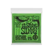 2230 Ernie Ball 12-String Slinky Nickel Wound Electric Guitar Strings 8-40