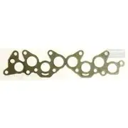 Platinum Extractor Gasket - HSM103