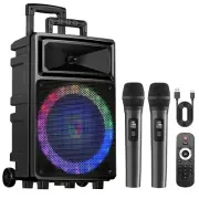Karaoke Machine with 2 Wireless Microphones, Bluetooth Speaker, and Portable PA