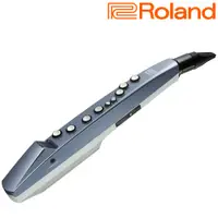 在飛比找PChome24h購物優惠-『ROLAND樂蘭』Aerophone GO電子薩克斯風 A