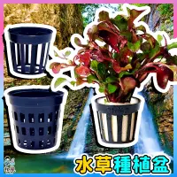 在飛比找蝦皮購物優惠-台灣免運現貨【水草種植盆🌿】水耕栽培網盆 水草盆 水耕盆 水