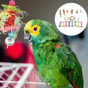 Parrot Gnawed The Ladder Toys for Rats Set Swing Mental Stimulation