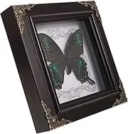 Luxshiny Framed Butterfly Specimen Display Case for Attracting Wall Decor Butterfly Specimen Collection DIY Decorative Frame