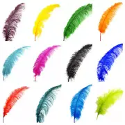 OSTRICH SPADS 20-30" Plume Feathers VARIOUS COLORS; Hats/Halloween/Centerpiece