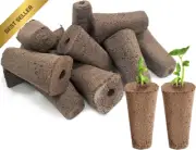 50 Pack pH Balanced Hydroponic Grow Sponges Seed Starter Pods Compatible with Id