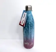 Disney x S'well Frozen Anna Elsa Olaf Frozen Quest Stainless Steel Bottle 25oz