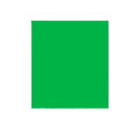 在飛比找松果購物優惠-綠幕摳像布加厚專業綠布背景布 直播設備全套直播間背景墻 綠色