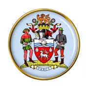 St. John's (Canada) Pin Badge