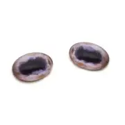 Pair Albino Realistic Horse Oval Glass Eyes