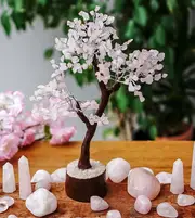 Rose Quartz Gemstone Tree - MEDIUM - Brown Base - Crystal Healing - the stone of unconditional LOVE - Gift Idea