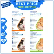 Revolution Plus Flea Tick And Worm Prevention 12 Pipettes for All Sizes Cats