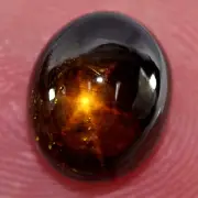 Certified Star Sapphire Golden 6 Ray 3.10 Ct Oval Cab 7.04 x 8.32 Mm Natural Gem