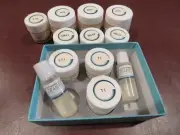 NORITAKE Cerabien Porcelain For Alumina Framework Restorations 10 bottle lot