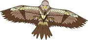 Hellery Eagle Kite Fun Large Easy to Fly for Park Outdoor,Trip,Beach, for Beginners, Brown