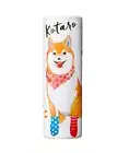 Vasilisa Perfume Stick Kotaro Acerola Rose Solid Fragrance 5g Japan NEW