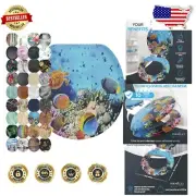 Decorative Round Soft Close Toilet Seat with Adjustable Hinges - Ocean Beauty