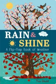 Rain & Shine: A Flip-Flap Book of Weather