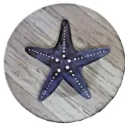 Starfish Melamine 6" Tidbit Appetizer Dessert Plates Set of 4 Beach House Gray