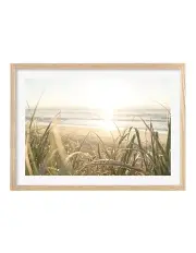 [Profile Australia] Made Beach Grass Sunset Art Print A1 Frame in Natural