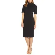 Adrianna Papell V-Back Sheath Dress