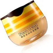 WUISOLQP Honey Lip Balm Moisturizing Lip Nourishing Lip Care Moisturizer Lightweight Portable Plumping Lip Gloss Makeup