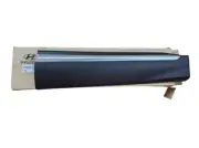 87722S1200SCR Front Door Lower Molding RIGHT Hyundai Santa Fe 19-20 ⭐Low Price⭐
