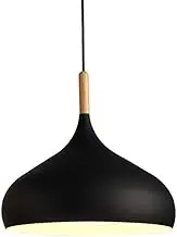 Contemporary Metal Pendant Light Shade Smooth Surface Dinning Ceiling Pendant Lamp Fixture (Black)