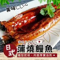 在飛比找ETMall東森購物網優惠-【歐嘉嚴選】日式蒲燒鰻魚5包-200G