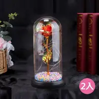 在飛比找momo購物網優惠-【VENCEDOR】玻璃罩玫瑰花(玫瑰花束 情人節花束 畢業