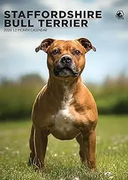 Staffordshire Bull Terrier Calendar 2026 – A Year of Strength, Loyalty & Smiles