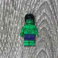 在飛比找蝦皮購物優惠-LEGO 樂高 500022 浩克 The Hulk SH0