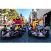 Save 14.99%! Asakusa / Tokyo Bay 120min Go Karting Tour - *IDP required!*