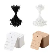 Fittings Snap Lock Retail Clothing Label Hangtags Price Tags Hang Tag String