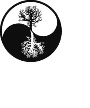 YIN YANG TREE LIFE Large Gift Charm Pendant On 925 Sterling Silver 20" necklace