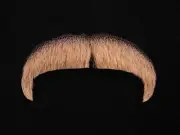 Human Hair Mustache El Macho Style