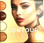 Ellen Tracy Contour Palette Highlight, illuminate, Dark & light contour NEW