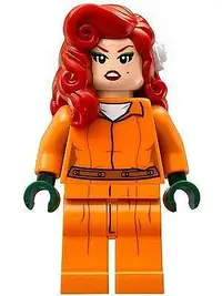 在飛比找Yahoo!奇摩拍賣優惠-LEGO  樂高 英雄人仔 SH342  囚服版毒藤女 70