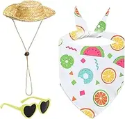 Porch Geese Costumes - Porch Animal Outfits - Clothes Sunglasses Straw Hat For Cement Animal Home Furnishings Window Display Poolside Beach Party