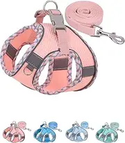 Dog Harness for Small Medium Dogs No Pull, Puppy Harness and Leash Set, Easy Walk Dog Harness for Walking, Running, Training, Small Dog Harness, Medium Dog Harness (Pink)