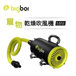 澳洲bigboi 單馬達吹水機 MINI 吹水機 吹風機 寵物吹水機 寵物吹毛 單馬達機寵物洗澡 寵物毛髮吹乾 洗車