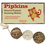 Natural Playball Gnawing Mobile - Small Animal Toy