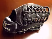 在飛比找露天拍賣優惠-{圓圓小舖}日製硬式MIZUNO PRO for p for